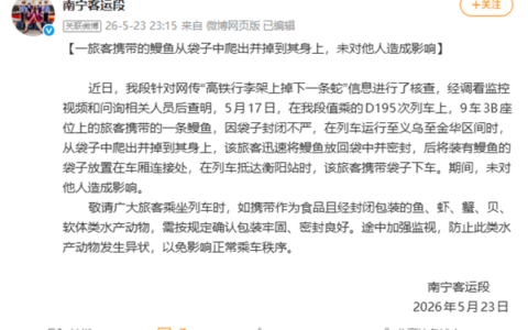 虚惊一场：高铁行李架上掉下的是鳗鱼，不是蛇