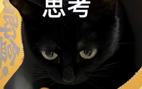 AI看病成医患新负担？补齐「多轮追问」，通用AI才能跨过医疗门槛
