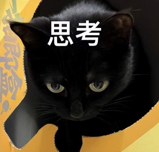 AI看病成医患新负担？补齐「多轮追问」，通用AI才能跨过医疗门槛