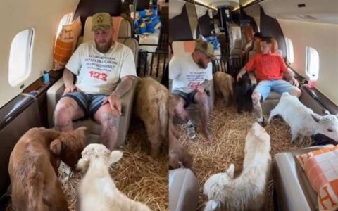 美国两千万粉丝博主私人飞机运牛出行 被批严重破坏环保