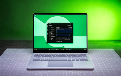 Windows 11 8GB内存也卡顿