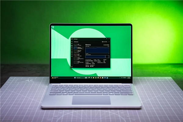 Windows 11 8GB内存也卡顿