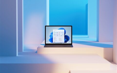 Win10/11画面异常真凶是谷歌Chrome