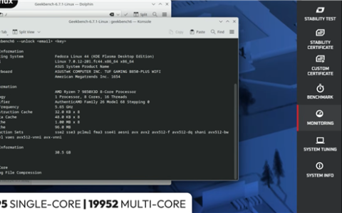 Win11游戏实测碾压Linux