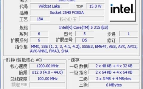 英特尔酷睿5 315实测：对标MacBook Neo