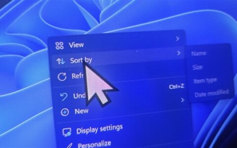 Windows 11更新致鼠标光标异常：大小变色