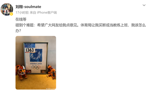 刘翔退役11年安置引热议，胡锡进盼其体面人生