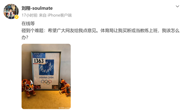 刘翔退役11年安置引热议，胡锡进盼其体面人生