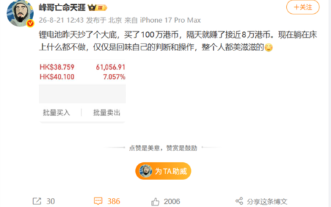 峰哥100万港元抄底锂电池，隔日赚8万