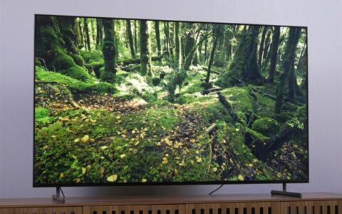 电视画质与声音谁更重要？多数人想错了