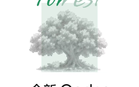 阿里新版Qoder：从AI编程工具升级为智能代理工作站