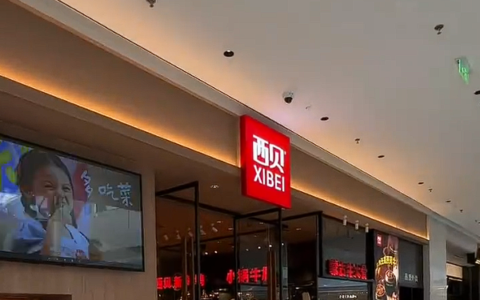 胡锡进评西贝倒闭传闻：流量送罗永浩，损失自己扛