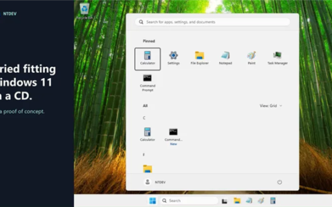 Windows 11精简至699MB，光盘安装，实测进桌面