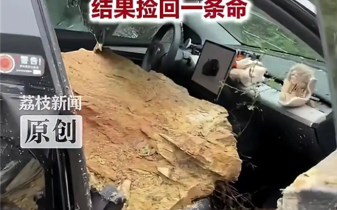 巨石砸穿特斯拉天窗，情侣割草捡回一命