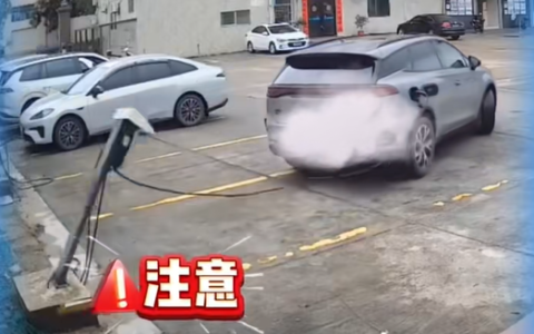 电车车主不拔枪起步拽倒电桩