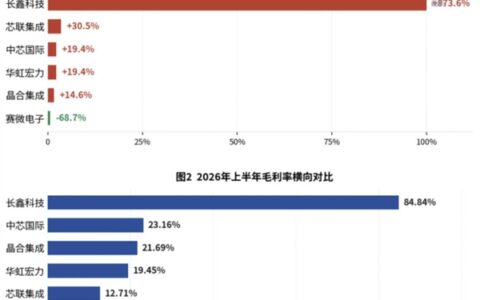 长鑫收入暴涨9倍，超越中芯成国产半导体新一哥
